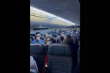 Dilma é ovacionada por passageiros em avião (vídeo) Dilma é ovacionada por passageiros em avião (vídeo)