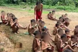 Yanomami: quatro indígenas morrem por malária e desnutrição