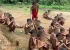 Yanomami: Fiocruz suspeita de desvio de medicamentos para garimpeiros