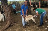 Prefeitura de Juazeiro segue realizando assistência técnica junto aos caprinovinocultores do município