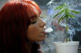 Por que cultivo legal de maconha não é tão rentável na América Latina