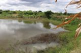 Limpeza de aguadas garante água para produção de alimentos em comunidades rurais da Bahia