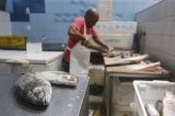 Corvina lidera procura por peixe para a mesa da Páscoa