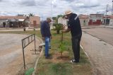 Prefeitura de Juazeiro realiza ação de plantio de mudas no Dia Nacional da Conscientização sobre as Mudanças Climáticas