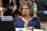 Senado aprova subcomissão para discutir o novo Ensino Médio