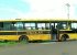 Motorista de ônibus escolar morre no trajeto; adolescente assume direção e salva a todos