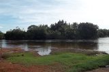 Bahia é estado que mais desmatou Caatinga e Cerrado no país