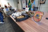 Polícia já apreendeu 1.600 armas na Bahia apenas em 2023