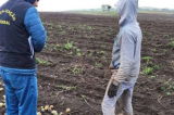 Número de resgatados em trabalho análogo ao escravo é recorde