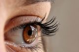 Aplicativo criado por estudantes detecta precocemente doenças oculares que causam cegueira Aplicativo criado por estudantes detecta precocemente doenças oculares que causam cegueira