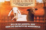 Feira do Bode de Massaroca acontece este final de semana