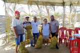 Prefeitura de Uauá distribuiu palma forrageira para agricultores familiares; veja imagens