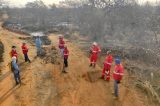 Brigada da Agrovale ajuda a apagar incêndios em cerca de 800 hectares de caatinga