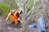 STF flexibiliza normas para contratação de brigadistas e liberação de crédito extraordinário para combate a incêndios