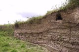 Sambaquis: as descobertas sobre as monumentais construções de 8 mil anos no litoral do Brasil