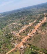 BNDES destinará R$ 450 milhões para reflorestamento no Brasil