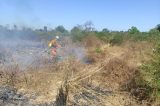 Mais de 220 bombeiros com apoio de 50 viaturas e brigadistas voluntários atuam no combate a incêndios florestais no interior da Bahia