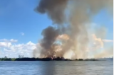 Plantação de manga destruída nas ilhas devido incêndio Plantação de manga destruída nas ilhas devido incêndio