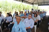 UFAL e Agrovale desenvolvem cultivar resistente ao fungo do carvão da cana-de-açúcar