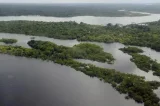 A Amazônia respira