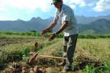 Com certeza vai ter queda no PIB”, afirma o presidente da Faeb sobre os impactos da estiagem na produção agropecuária na Bahia