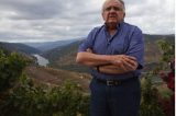 Empresários brasileiros investem forte na produção de vinho em Portugal