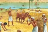 Agricultura do Egito Antigo