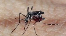 Vitória da Conquista registra nova morte por dengue