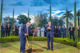 Lula planta pé de oliveira em embaixada e pergunta quando nascem as uvas; veja vídeo