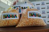 Sacas de milho garantirão alimento para os rebanhos de agricultores familiares de mais dois territórios baianos 