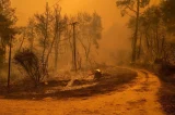 Planeta tem 12 meses de temperatura 1,5ºC acima da era pré-industrial