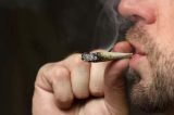 Senado apressa votação da criminalização do uso pessoal de maconha, mas atenua punição Senado apressa votação da criminalização do uso pessoal de maconha, mas atenua punição