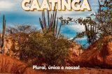 No dia Nacional da Caatinga, Prefeitura de Juazeiro celebra a biodiversidade do bioma único e exclusivo brasileiro e conscientiza sobre a preservação No dia Nacional da Caatinga, Prefeitura de Juazeiro celebra a biodiversidade do bioma único e exclusivo brasileiro e conscientiza sobre a preservação