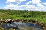 Aldeia Xucuru-Kariri luta por acesso à água e demarcação de terra às margens do São Francisco