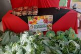 PAA: Prefeitura de Sento-Sé realiza entrega dos alimentos e contempla mais de 370 famílias PAA: Prefeitura de Sento-Sé realiza entrega dos alimentos e contempla mais de 370 famílias