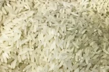 RS anuncia fim da colheita de arroz e diz que não há motivo para importação