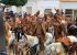 “71 anos de fé, cultura e tradição”: Missa com os Vaqueiros de Curaçá/BA será celebrada domingo (07)