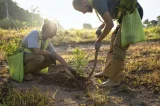 Câmara aprova proposta que amplia crédito para agricultura familiar