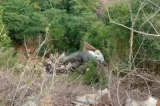 Adolescente morre após tragégida em estrada baiana