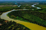 Incêndios no Pantanal já consumiram este ano mais de 15% do bioma