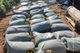 Cipe-Caatinga participa de operação que apreendeu grande quantidade de drogas em Irecê-BA