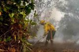 Brasil é o país da América do Sul com mais focos de incêndio