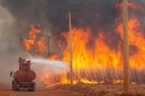 Governo investiga mais de 20 pessoas por incêndios florestais no Rio