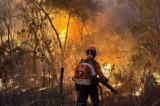 Agronegócio estima prejuízo de R$ 14,7 bilhões em decorrência de incêndios no Brasil