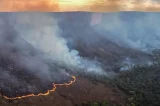 Aprovação de Lula na área ambiental cai após queimadas e crise climática, aponta pesquisa