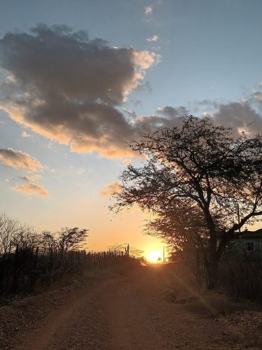 seca na caatinga