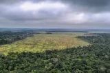 Bahia busca frear destruição de biomas