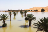 No Deserto do Saara, chuva rara forma lagoas entre dunas; veja imagens