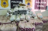 Polícia Civil apreende maconha avaliada em R$ 2 milhões na Bahia