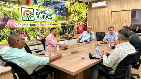 Atrasos no transporte marítimo de frutas mobiliza produtores do Vale do São Francisco